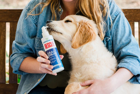 What is Hypochlorous Acid? The ingredient born in the body is now helping pet wellness.