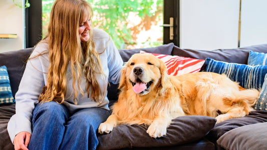 A woman with long blonde hair pets a golden retreiver dog while they both sit on a dark blue sofa