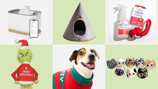 Six pet gifts for on a colorblock white and green background