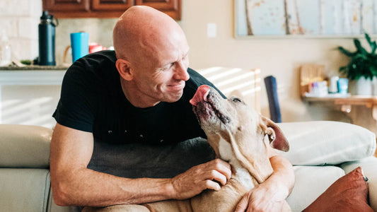 Safe summertime gatherings with pets & people