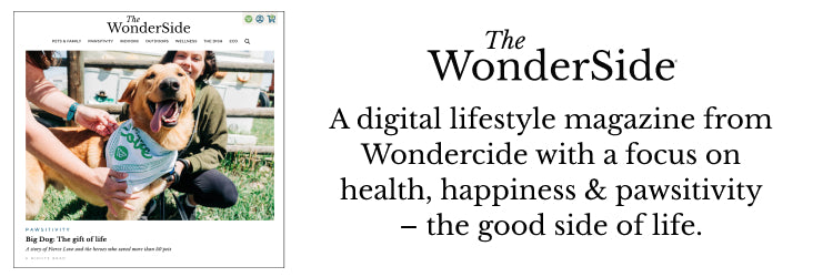 A magazine ad featuring a golden retriever wearing a shirt, alongside text promoting The WonderSide, a digital lifestyle magazine by Wondercide focused on health, happiness, and positivity.