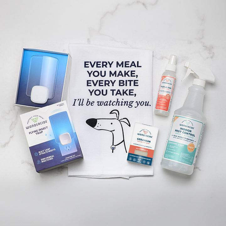 Holiday Prep Bundle
