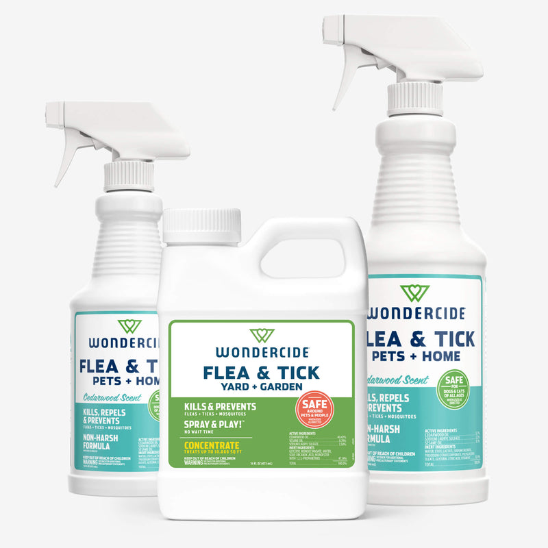 Wondercide Early Intervention Kit - Cedarwood