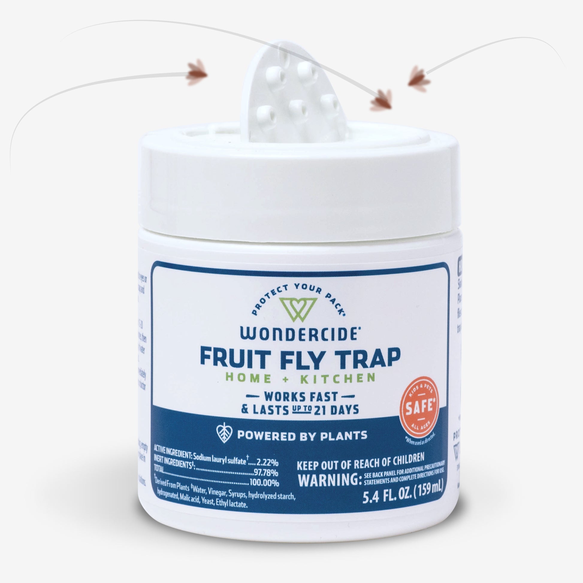Fruit Fly Trap