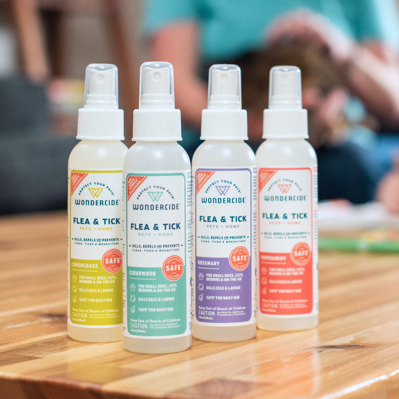Four bottles of Wondercide Peppermint Flea & Tick Spray for Pets + Home, along with Lemongrass, Cedarwood, and Rosemary scents, are lined up on a wooden table. Safe for use around dogs and cats.
