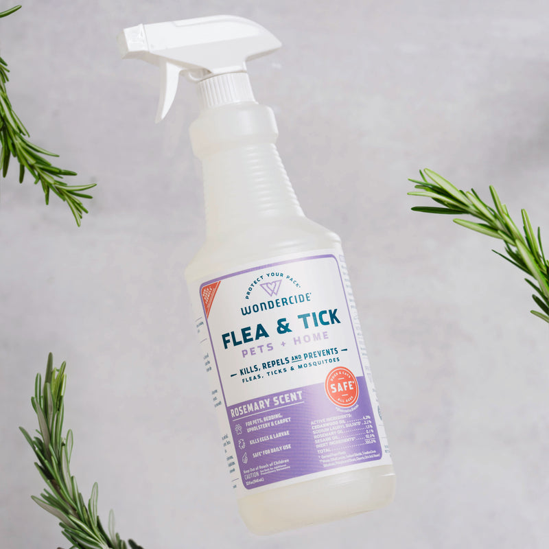 A Wondercide Rosemary Flea & Tick Spray for Pets + Home bottle stands upright with rosemary sprigs around it on a light gray background; safe for dogs and cats.