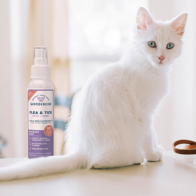 A fluffy white cat sits on a counter next to a bottle of Wondercide’s Pet Parent Pack | Shark Tank Bundle. The softly lit background glows with natural window light, highlighting the product safe for both dogs and cats.