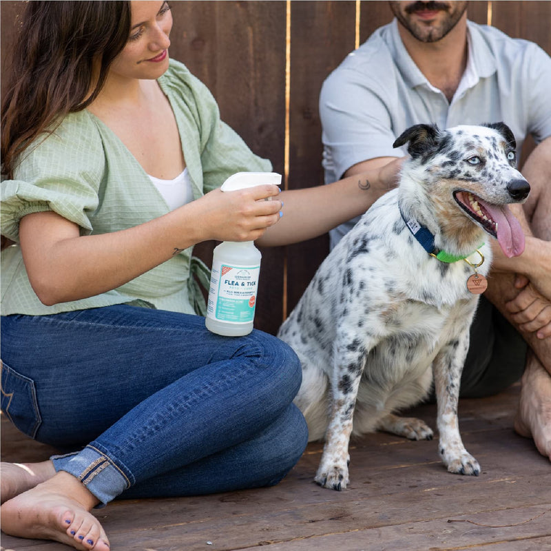 A woman sprays Wondercide 128 oz. Cedarwood Flea & Tick Spray with natural essential oils on a happy black-and-white dog on a wooden deck; the spray is safe for both dogs and cats.