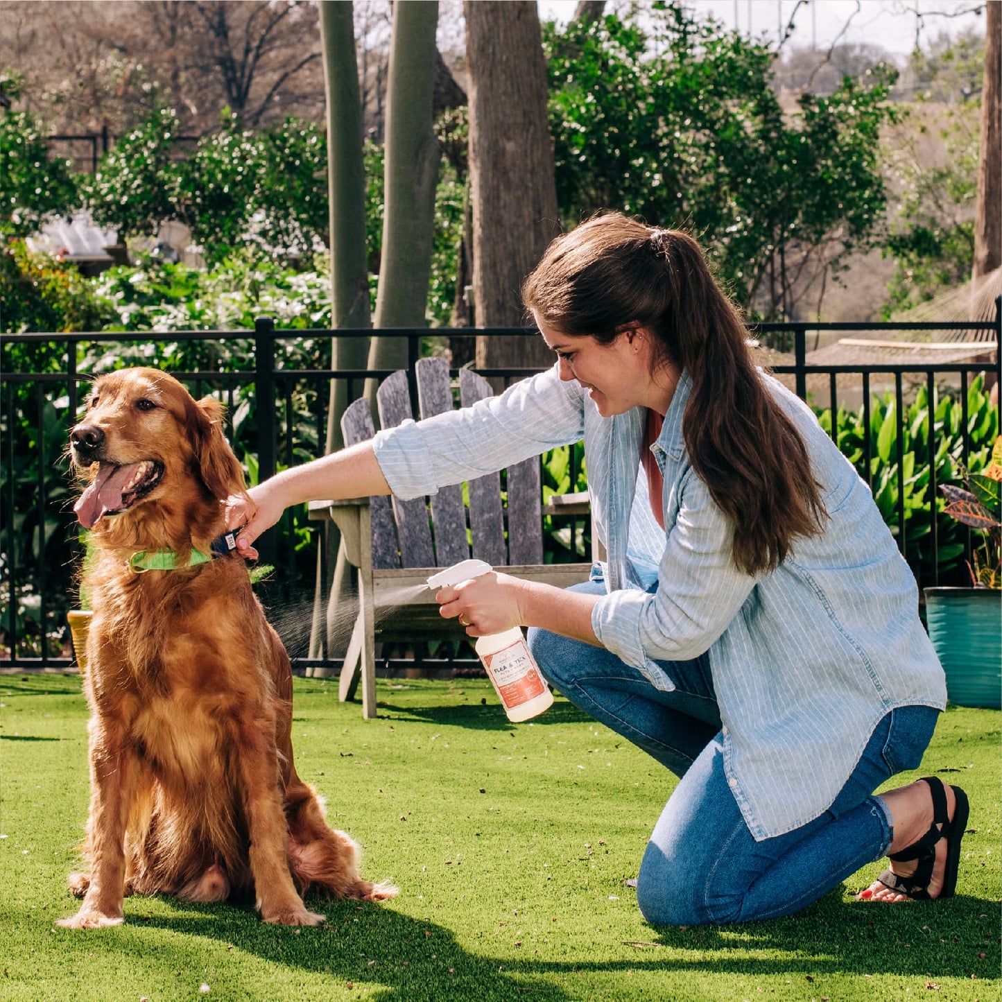 Peppermint Flea & Tick Spray for Pets + Home - In Use