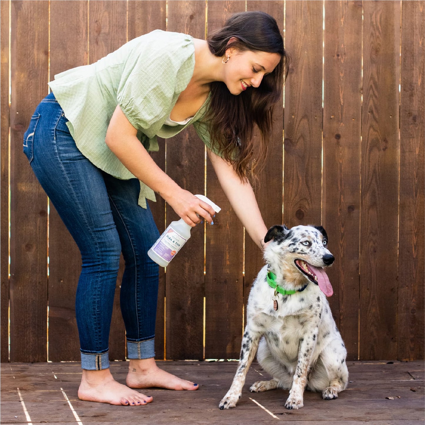 Rosemary Flea & Tick Spray for Pets + Home - In Use