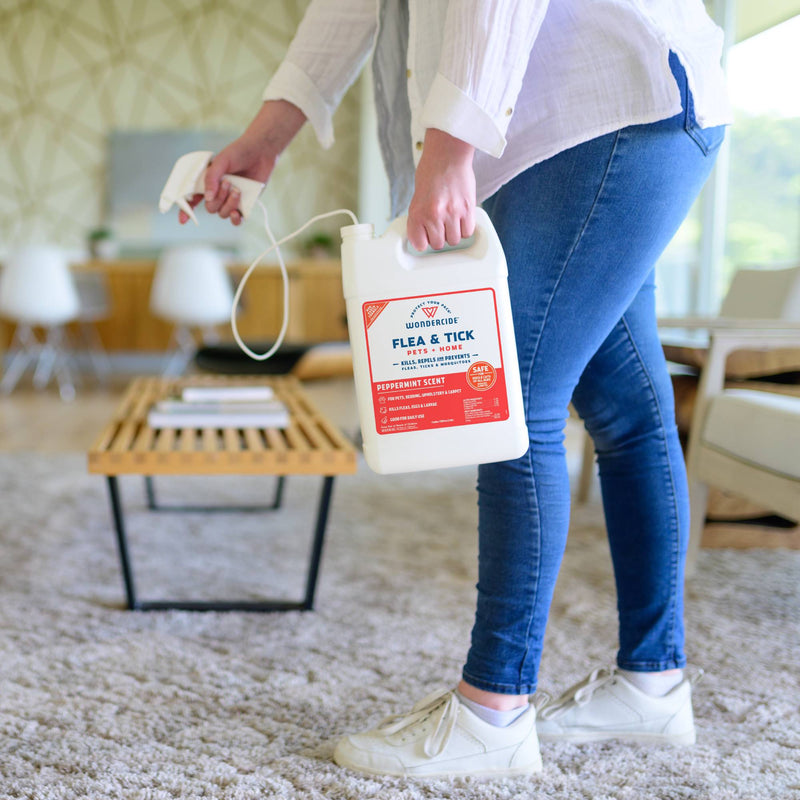 A person in jeans and white sneakers holds a 128 oz. Wondercide Peppermint Flea & Tick Spray with spray nozzle, made from natural essential oils and safe for pets, standing on a carpeted floor in a bright, modern living room.
