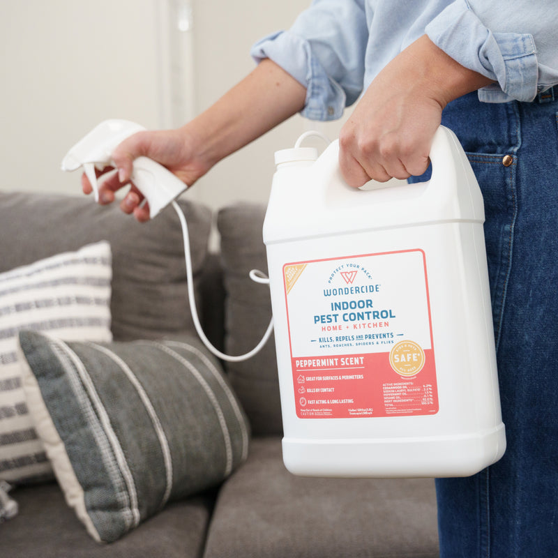 A person holds a large white jug of Wondercide Indoor Pest Control for Home + Kitchen with a peppermint scent and attached nozzle, standing by a gray couch with striped pillows. The spray is made with essential oils and safe for pets.