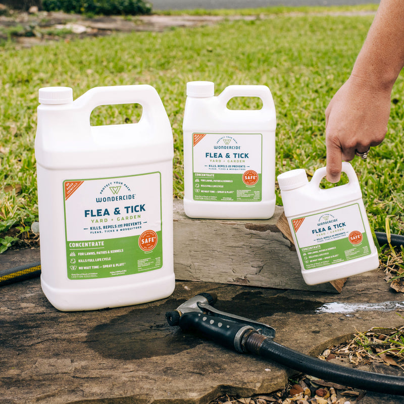 Three white Wondercide Early Intervention Kit | Flea & Tick Spray containers are displayed outdoors on wood near grass, emphasizing flea prevention. A garden hose is in the foreground, and a hand holds the smallest container.