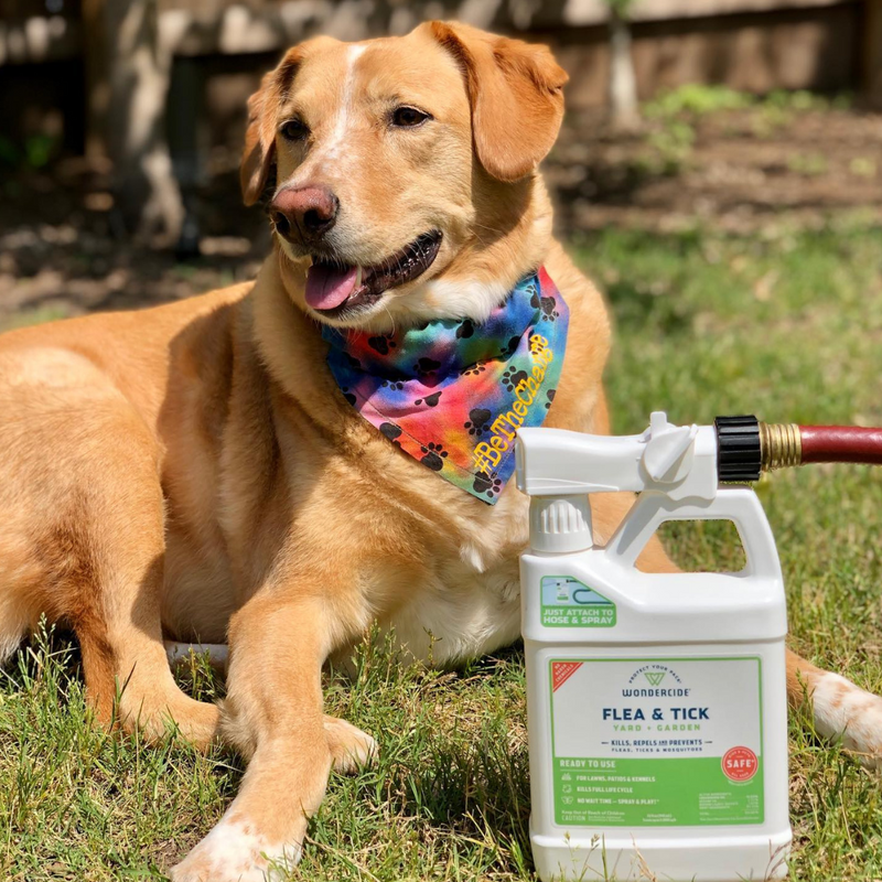 A golden-brown dog wearing a colorful bandana sits on grass, looking content. In front of the dog is a bottle of flea and tick treatment attached to a garden hose. The background features a wooden fence and a shaded area.