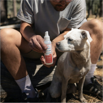 A person wearing glasses and a gray T-shirt holds a spray bottle labeled TICK & FLEA next to a white dog. They are outdoors, sitting on a log with trees in the background. The dog is looking at the bottle.