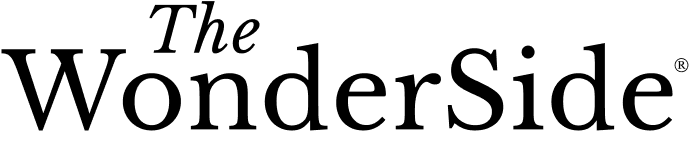 A black silhouette of a flying bird with outstretched wings against a white background.