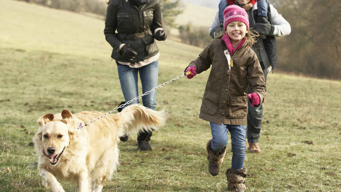 A family wearing coats and jackets walks a golden retriever on a leash