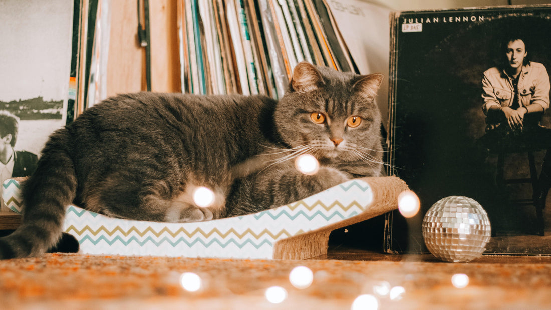 A gray cat with black stripes next to a vinyl record collection near a crystal ball