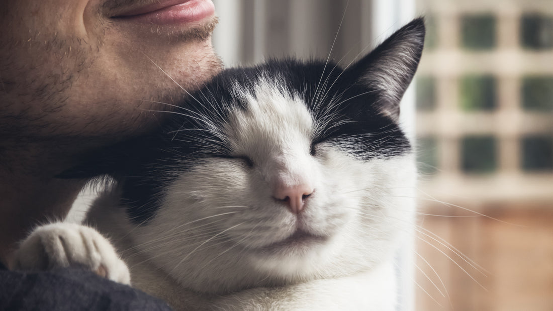 A man holds a black and white cat while both smile