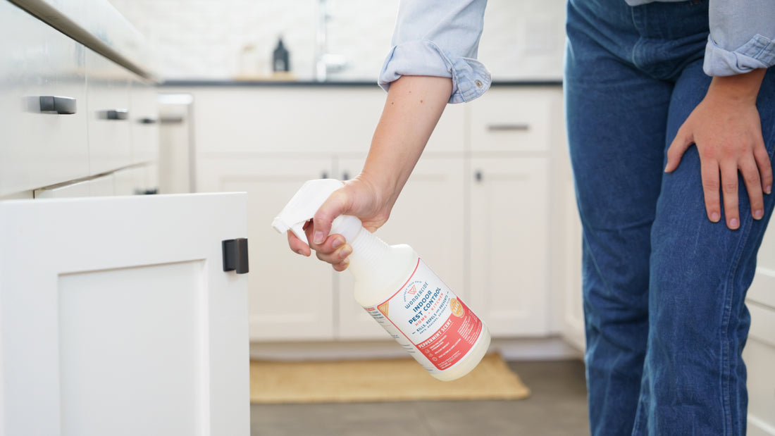 A person wearing jeans spraying Wondercide Indoor Pest Control into a kitchen cabinet