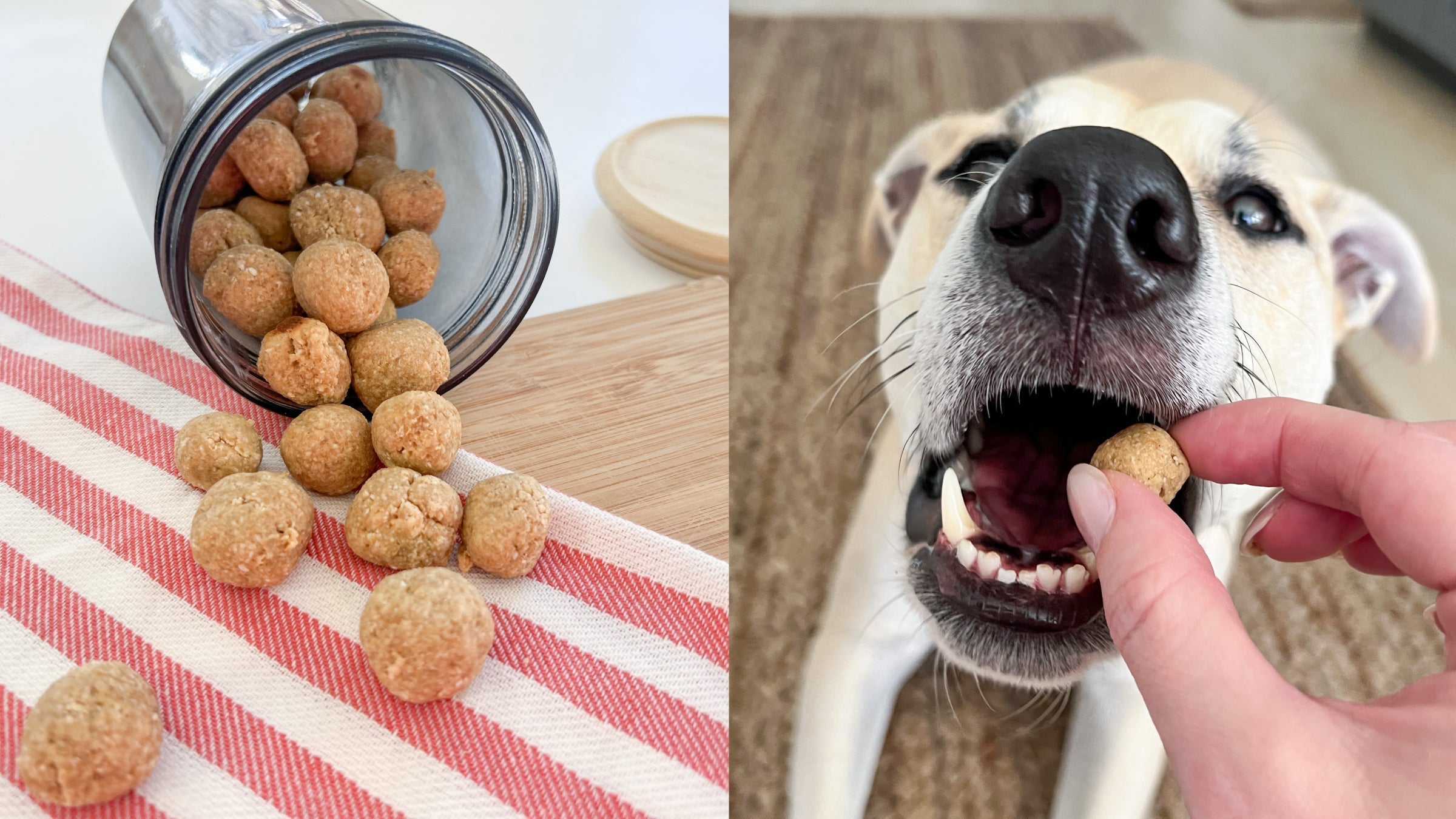 A split screen of rounded dog treats on one side and a tan dog with an open mouth ready to eat one
