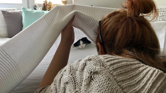 A woman with a bun in her hair find a black and white cat under a white sheet