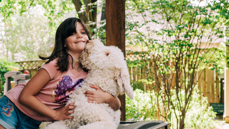 Girl with a pink shirt with a purple heart on it hugs a white labradoodle dog