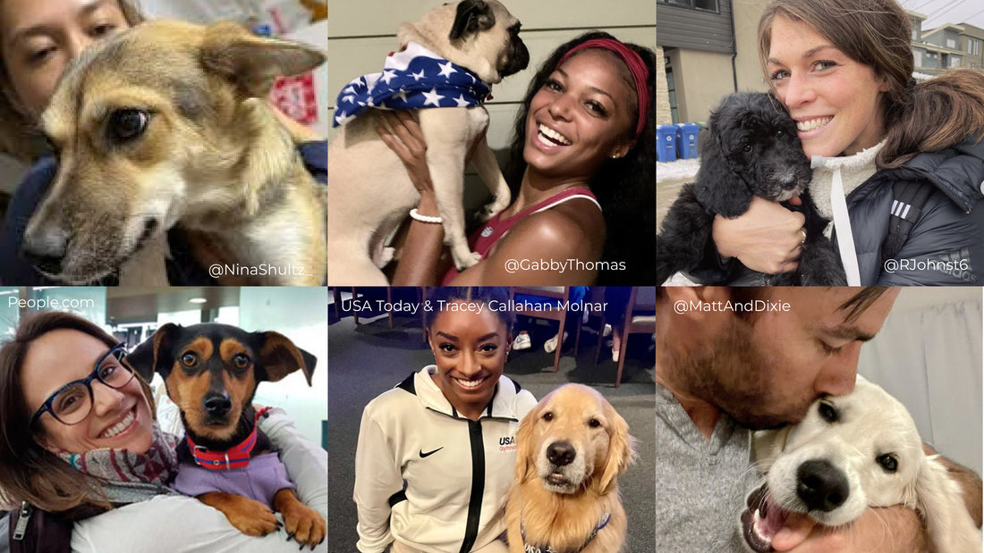 Six Olympic athletes and their rescue dogs