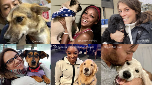 Six Olympic athletes and their rescue dogs