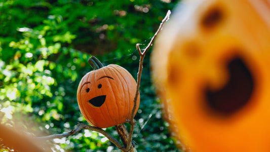 Two carved pumpkins placed on branches outside