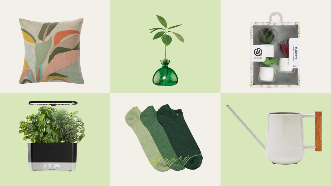 Wondercide Valentine's Day gift guide for plant lovers
