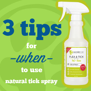 Homemade tick spray clearance for dogs