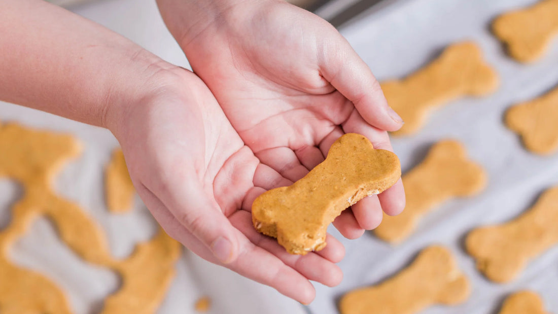 How to make pumpkin dog treats