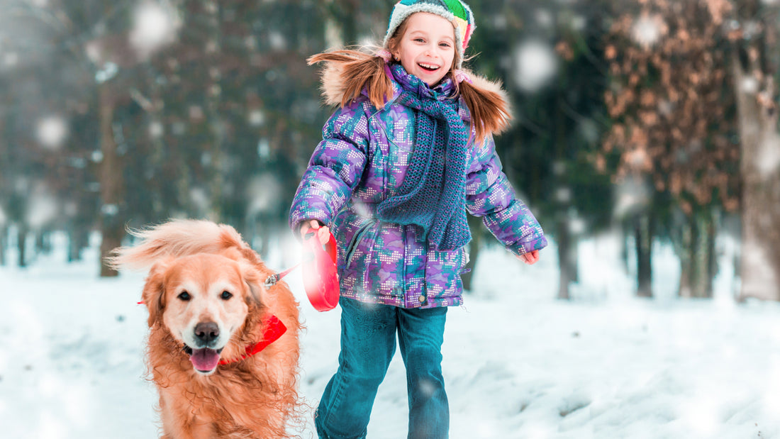 Ice melt and keeping your dog safe during the winter months