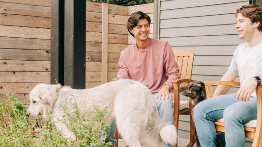 Pet-friendly backyard activities to enjoy this spring