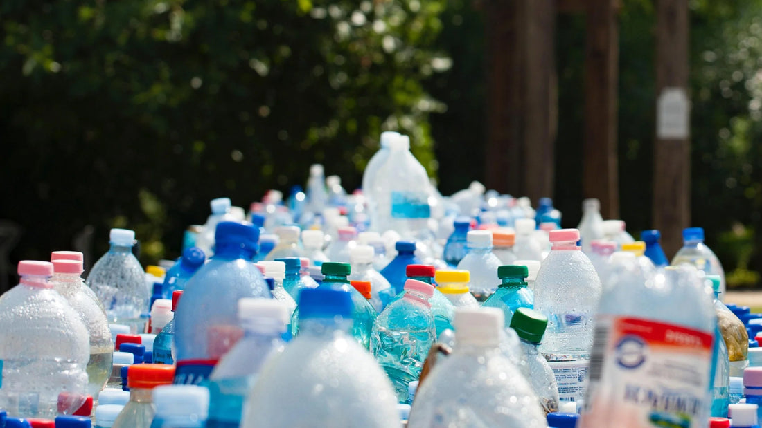 Recycling: How much do you know?