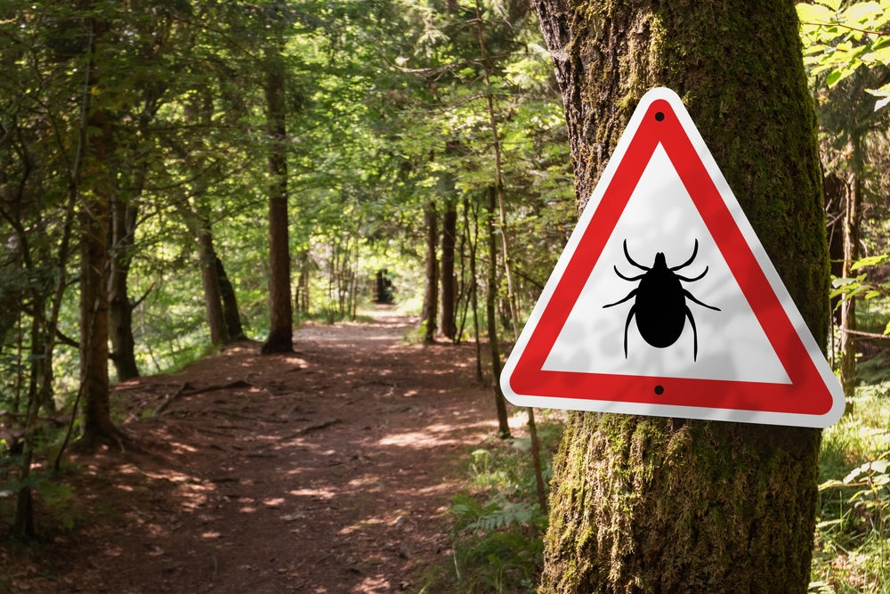 tick warning sign posted on a tree in the woods