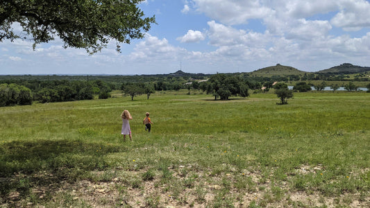 Summer mornings in the Texas hill country