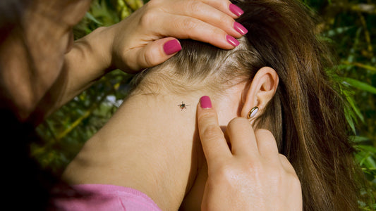 A woman checks her daughter for ticks and finds one under her hair at the back of her neck