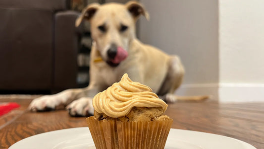 Celebratory pupcakes your pup will love