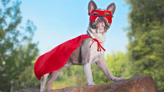 WonderWeen Costume Contest 2022