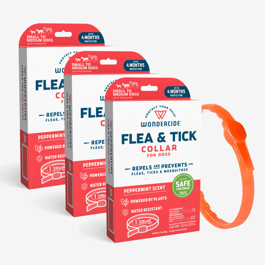 Image of three Wondercide 12-Month Flea & Tick Collar boxes for small to medium dogs, showcasing plant-powered tick prevention. Each box highlights a peppermint scent and water-resistant design. An orange collar is displayed next to the boxes, exemplifying effective pet protection against fleas.