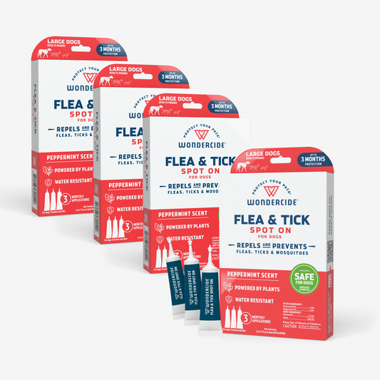 Four boxes of Wondercides 12-Month Flea & Tick Spot On for Large Dogs are displayed. The red and white packaging boasts a peppermint scent, plant-based ingredients, water resistance, and three-month protection with single-use tubes.