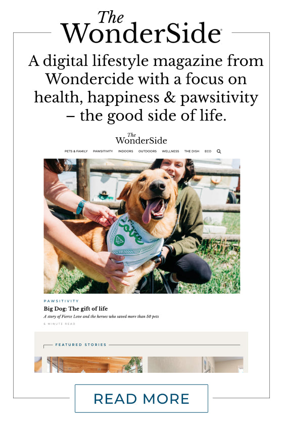 Advertisement for The WonderSide digital magazine. Features a happy dog wearing a Love bandana being pet by people. Text highlights the magazines focus on health, happiness, and positivity. A Read More button is at the bottom.