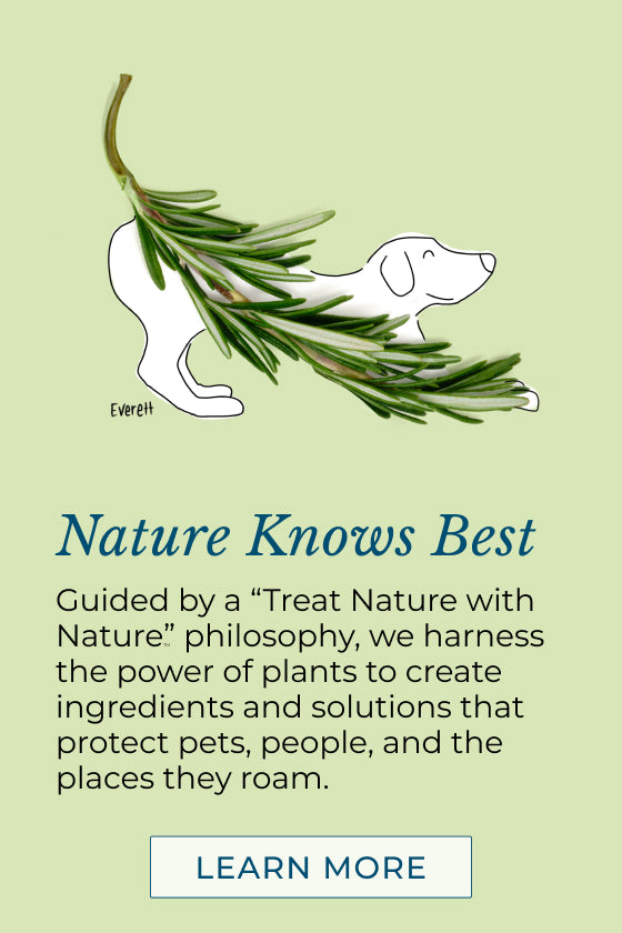 Illustration of a dog outlined in white, partially covered by pine branches, on a light green background. Text below reads, Nature Knows Best. Guided by a Treat Nature with Nature philosophy... with a Learn More button at the bottom.