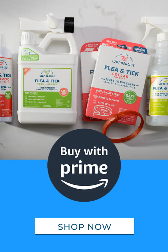 Buy_With_Prime