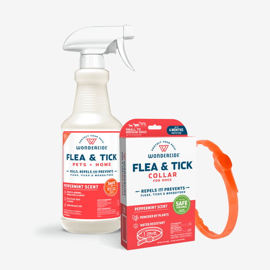 The Wondercide Flea & Tick Protection Bundle: Collar & Spray includes a peppermint-scented spray bottle and an orange collar thats safe for dogs, offering great repellency, water-resistance, and four months of effectiveness.