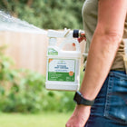 Wearing jeans and a smartwatch, a person uses the Wondercide Mosquito Yard Spray Refill Starter Kit, attaching the bottle to a hose to spray plant-powered mosquito repellent in their garden.
