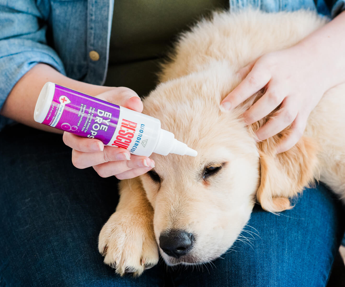Puppy with Wondercide RESCUE Eye Drops