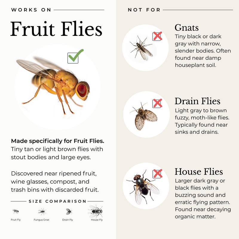 Infographic for Wondercide (2 Pack) Fruit Fly Trap for Home + Kitchen shows images, descriptions, and a green check for fruit flies—red Xs for gnats, drain flies, house flies. Includes plant-powered size comparison chart.